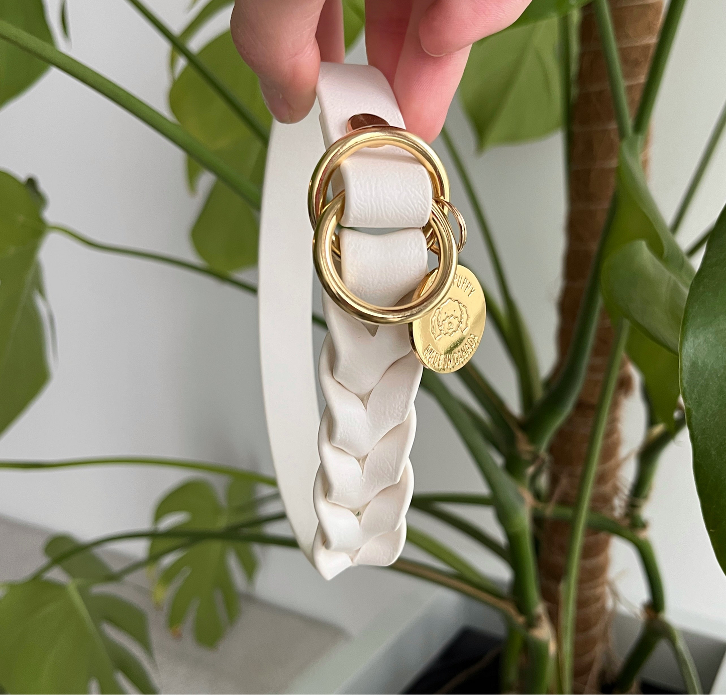 Braided Biothane slip dog collar with gold hardware, waterproof and durable, stylish for daily dog walks