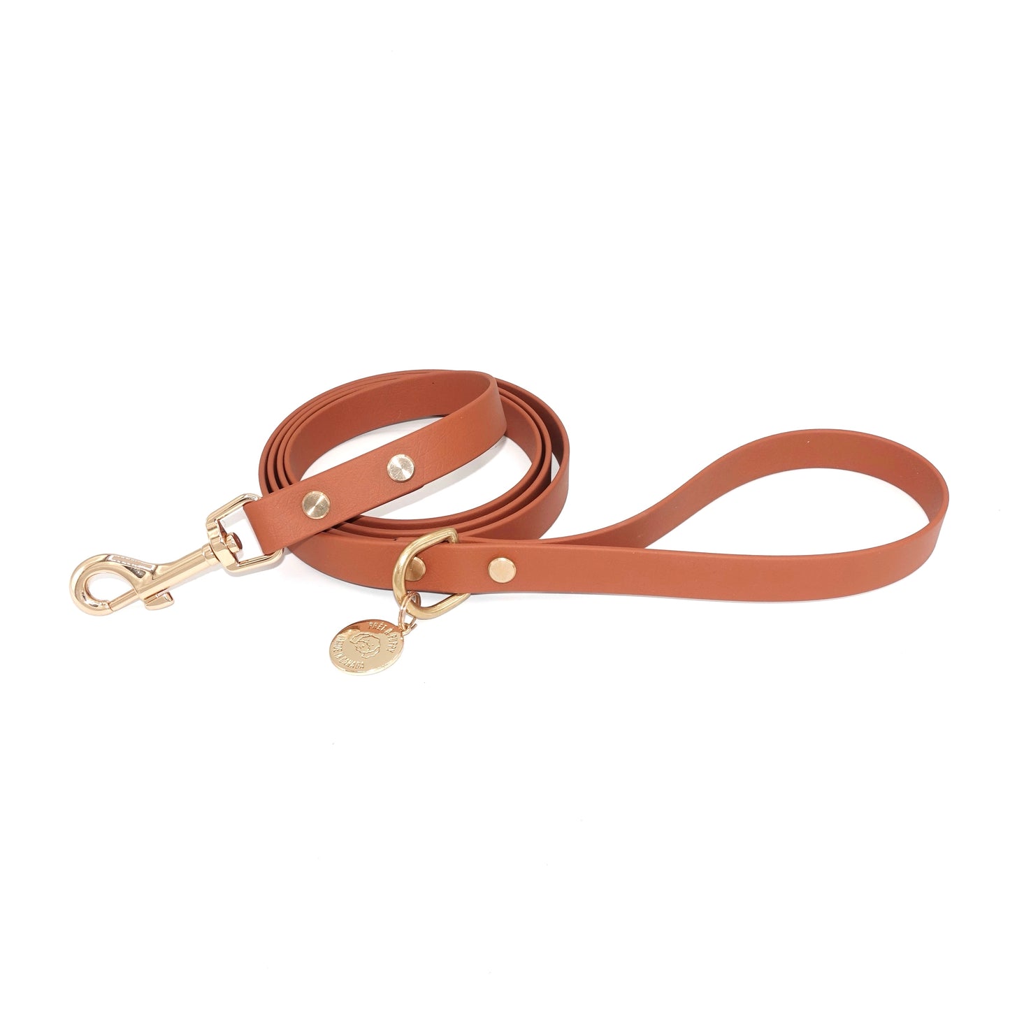 Tan Light Brown Biothane dog leash with gold hardware, waterproof and durable, stylish for daily dog walks