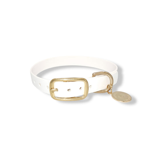 White dog collar with gold buckle and tag on a white background