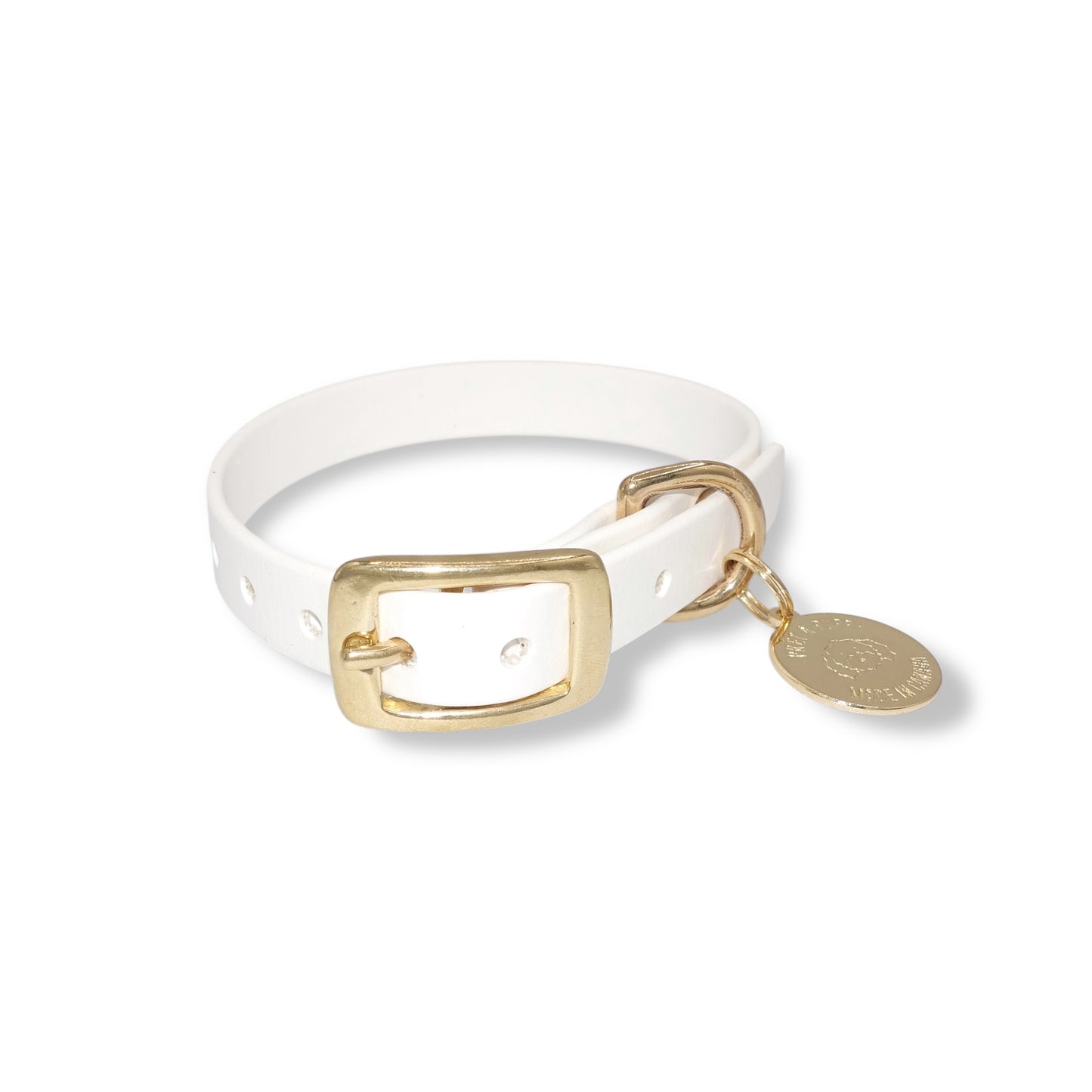 White Biothane waterproof dog collar with gold brass hardware, durable and stylish