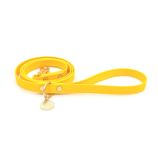 Yellow dog leash with a gold tag on a white background