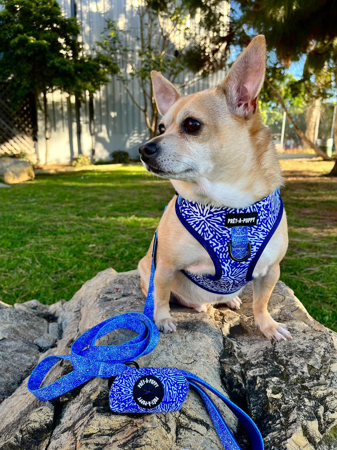 Harness Bundle Set - Indigo