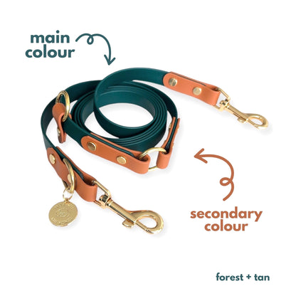 Hands Free Leash - Design your Own