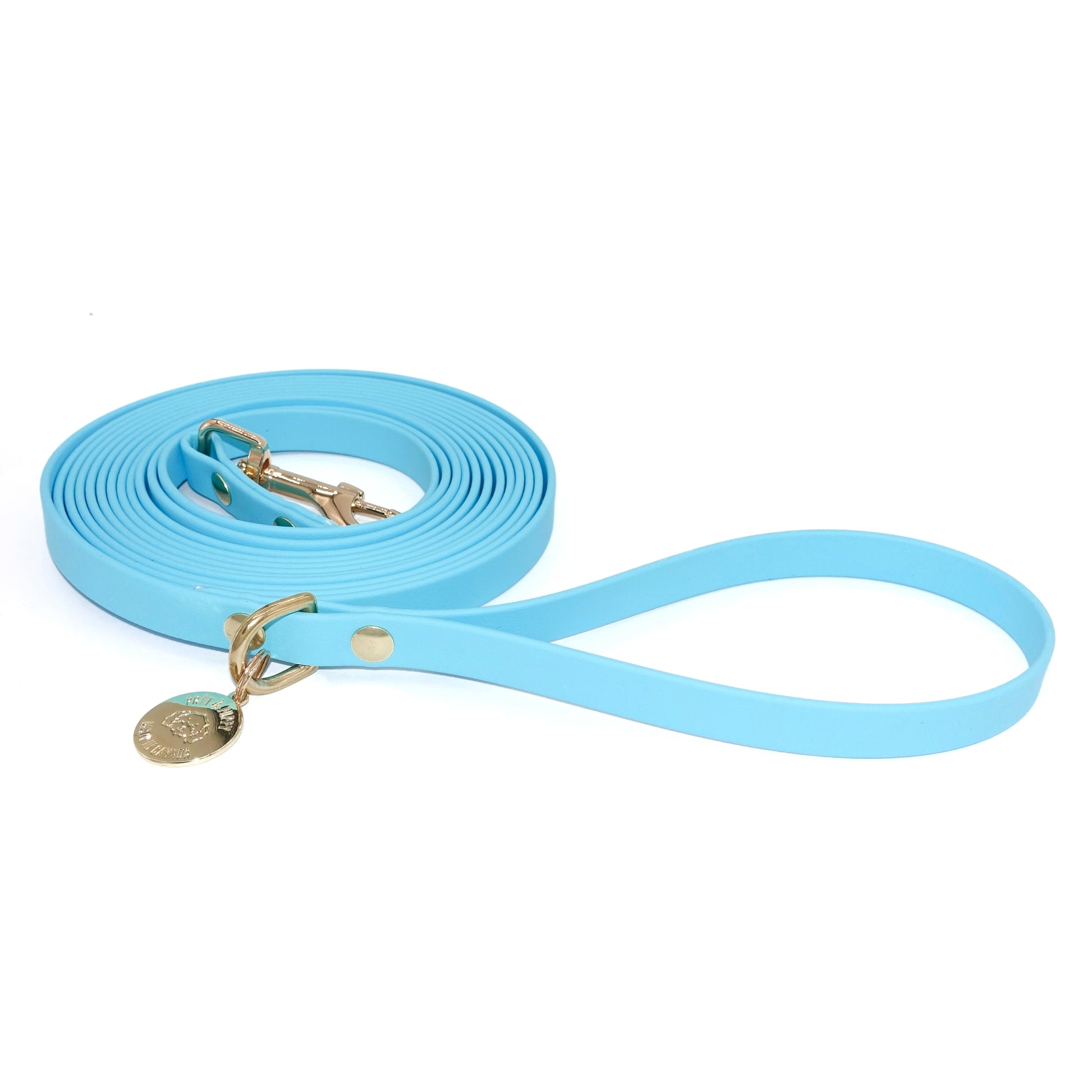 Light blue long dog leash with gold hardware on a white background