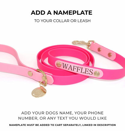 Pink dog collar and leash with a nameplate on a white background. Text on image reads: Add a nameplate to your collar or leash. Add your dogs name, your phone number, or any text you'd like.