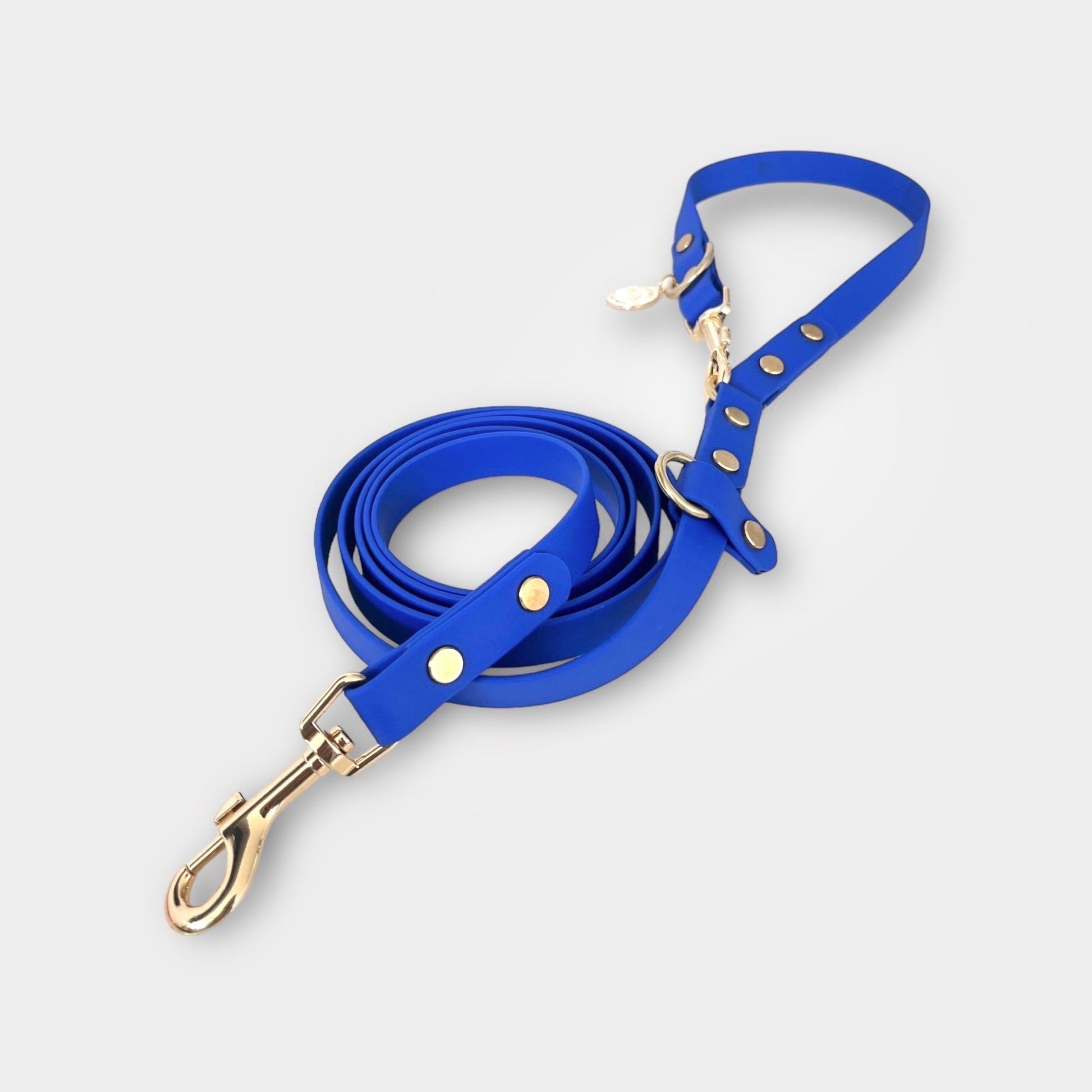 Blue hands-free dog leash with gold brass hardware 