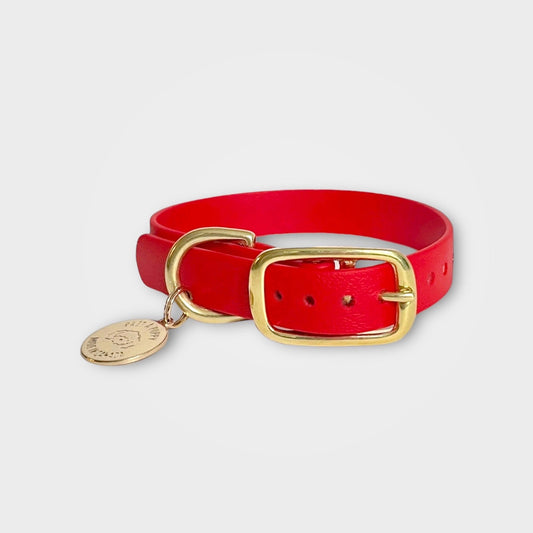 Red Original Dog collar with gold brass hardware