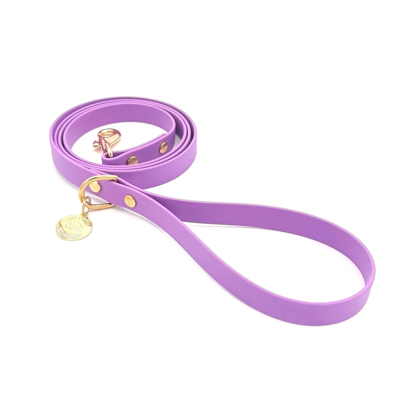 Purple dog leash with gold hardware on a white background