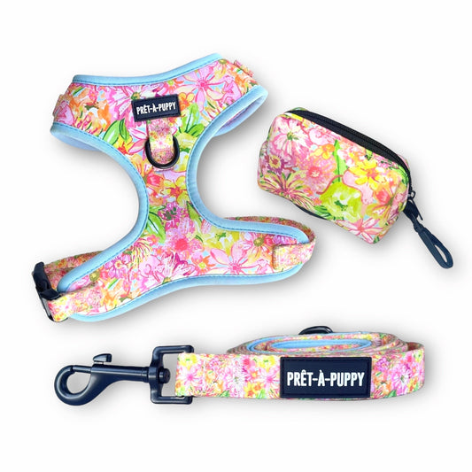 Harness Bundle Set - Juno Beach