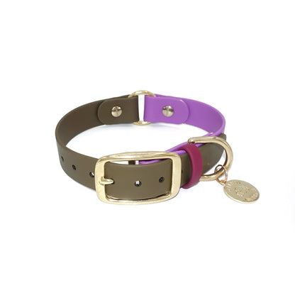 Two-tone brown and purple dog collar with gold buckle on a white background