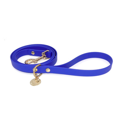 Blue dog leash with gold hardware on a white background