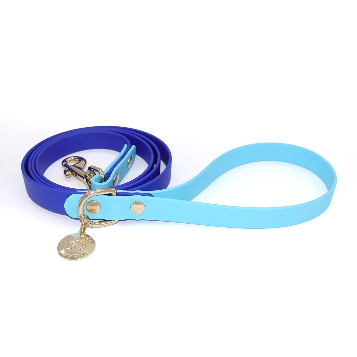 Blue dog leash with a gold tag on a white background