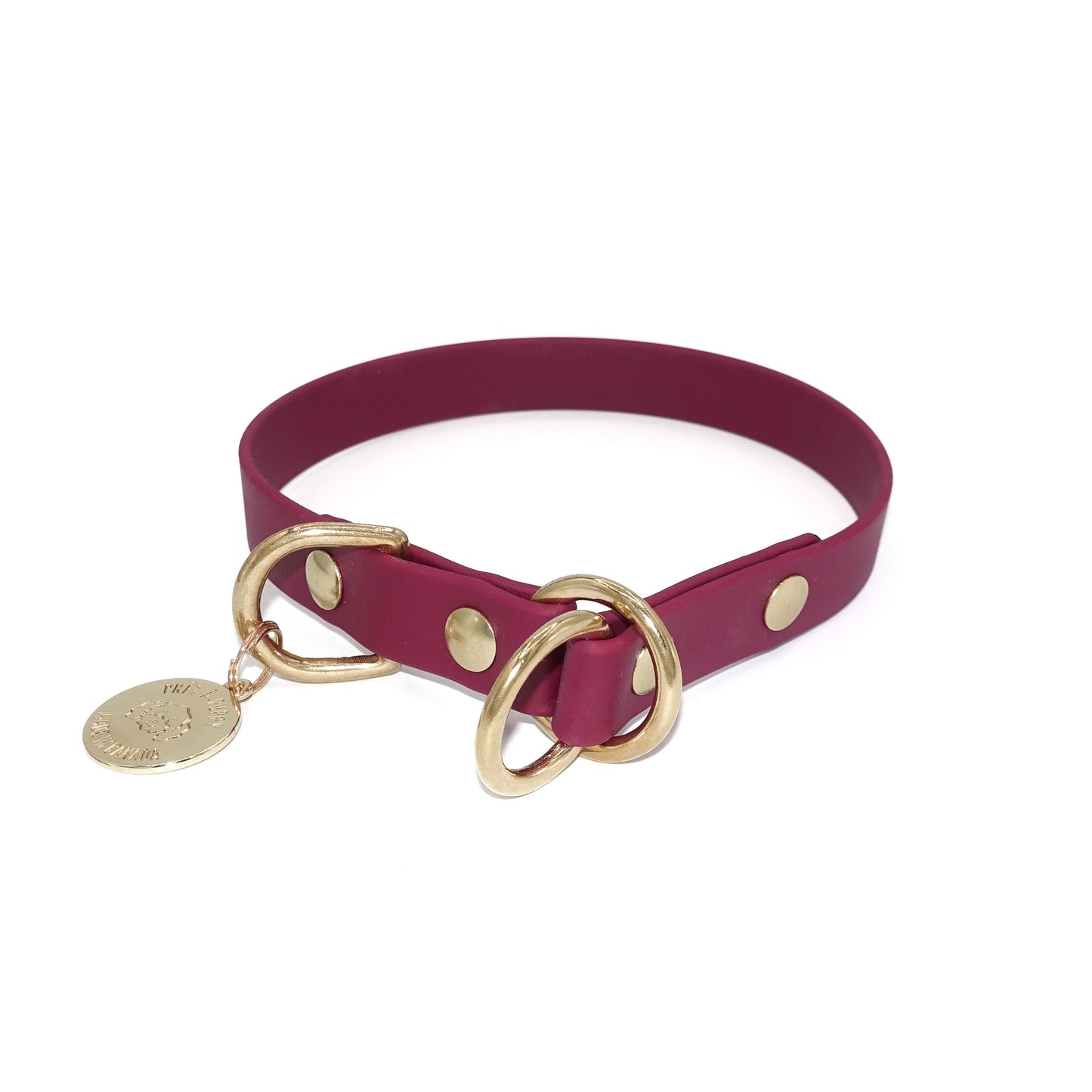 Burgundy slip collar with gold hardware and a tag on a white background