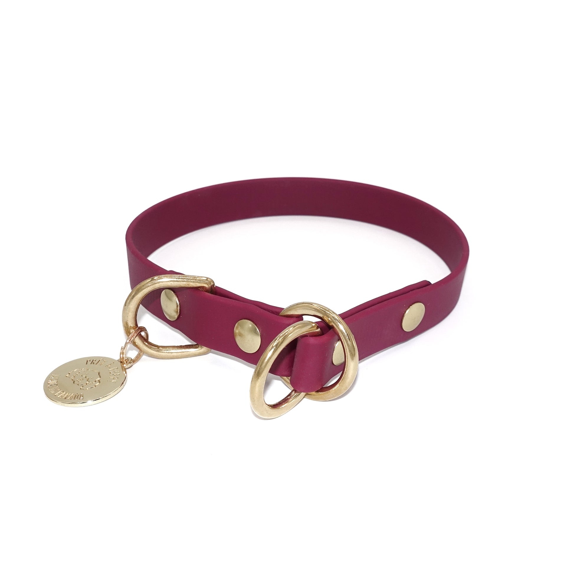Burgundy slip collar with gold hardware and a tag on a white background