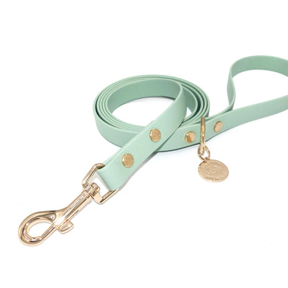 Sage green dog leash with gold hardware on a white background