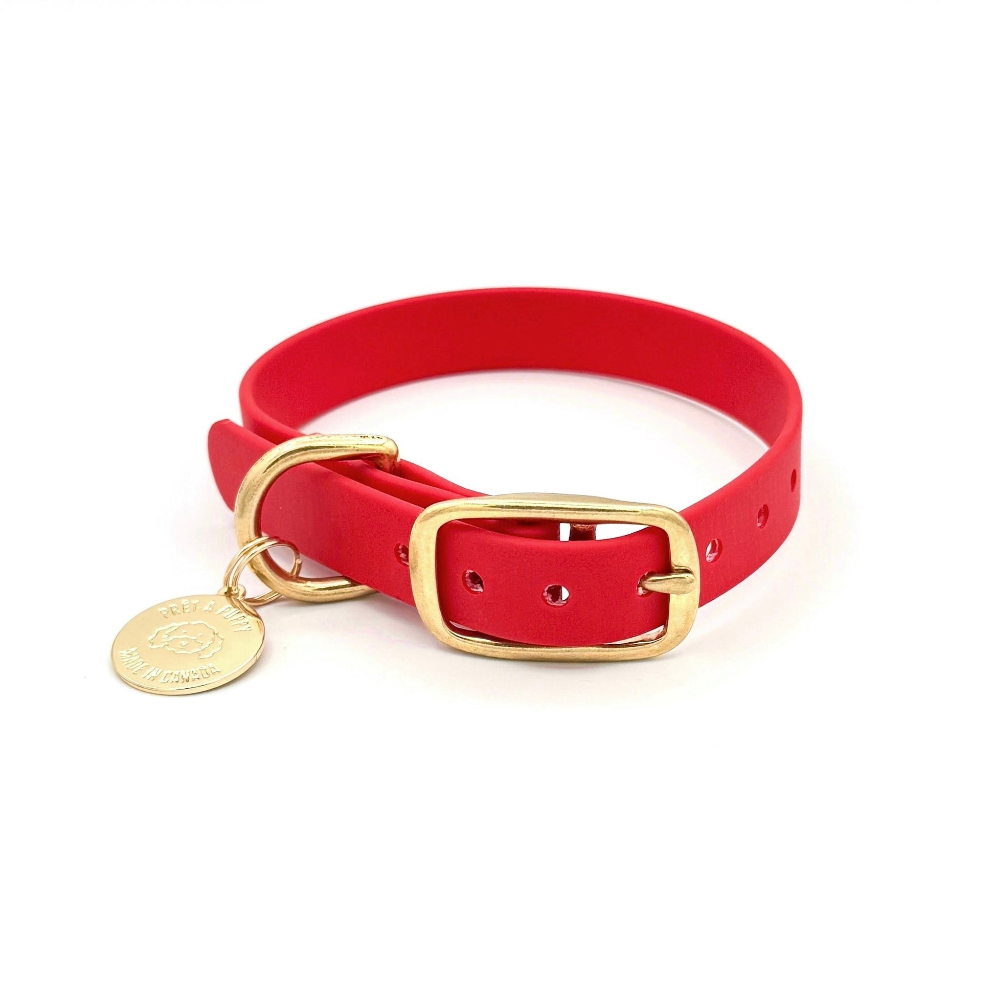 Red dog collar with gold buckle and tag on a white background