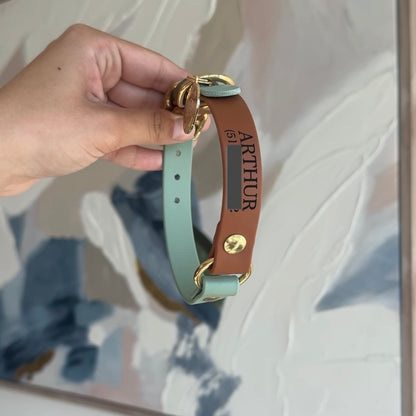 dog collar in green and brown, held by a hand against a neutral background.