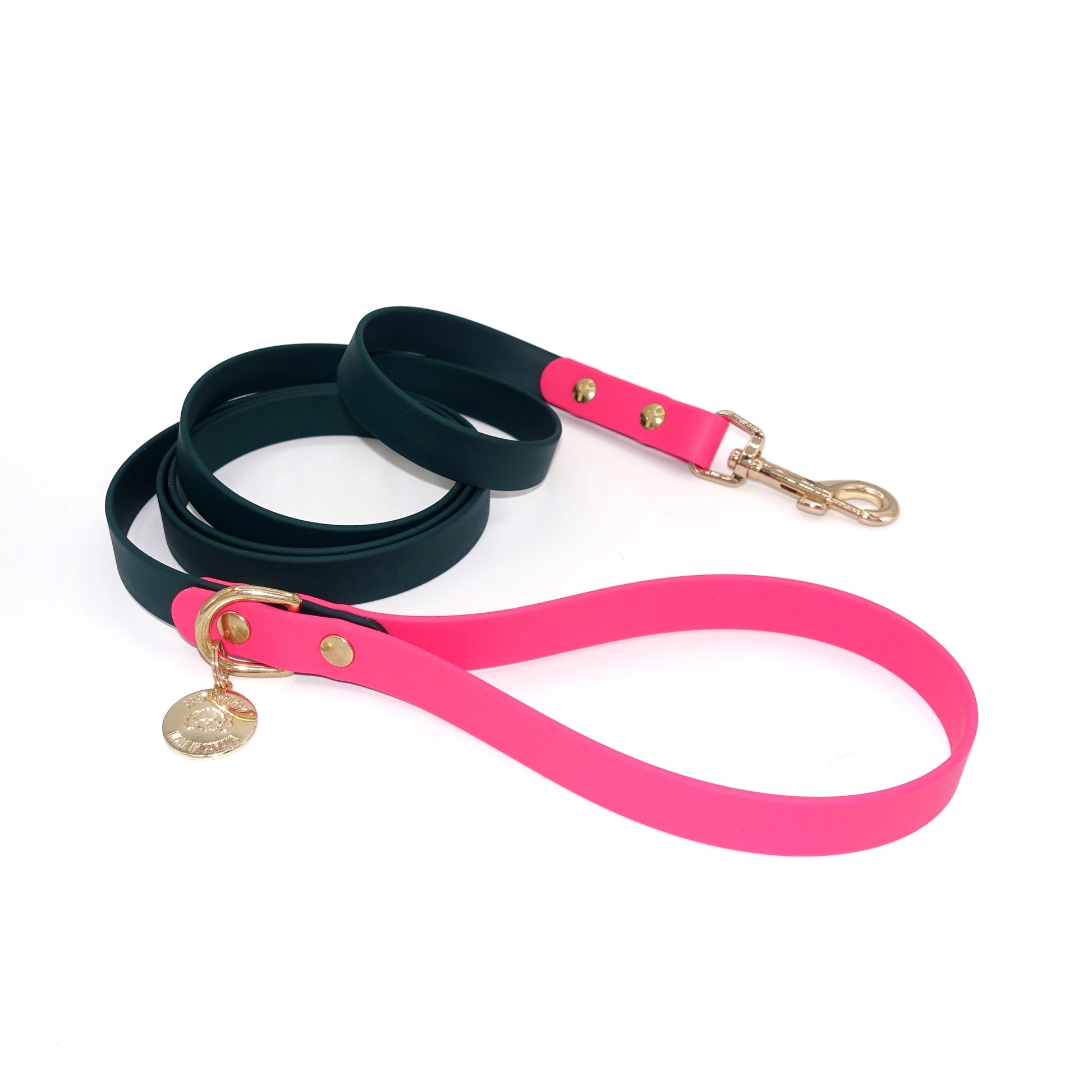 Green and pink dog leash with gold hardware on a white background