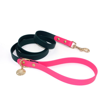 Green and pink dog leash with gold hardware on a white background