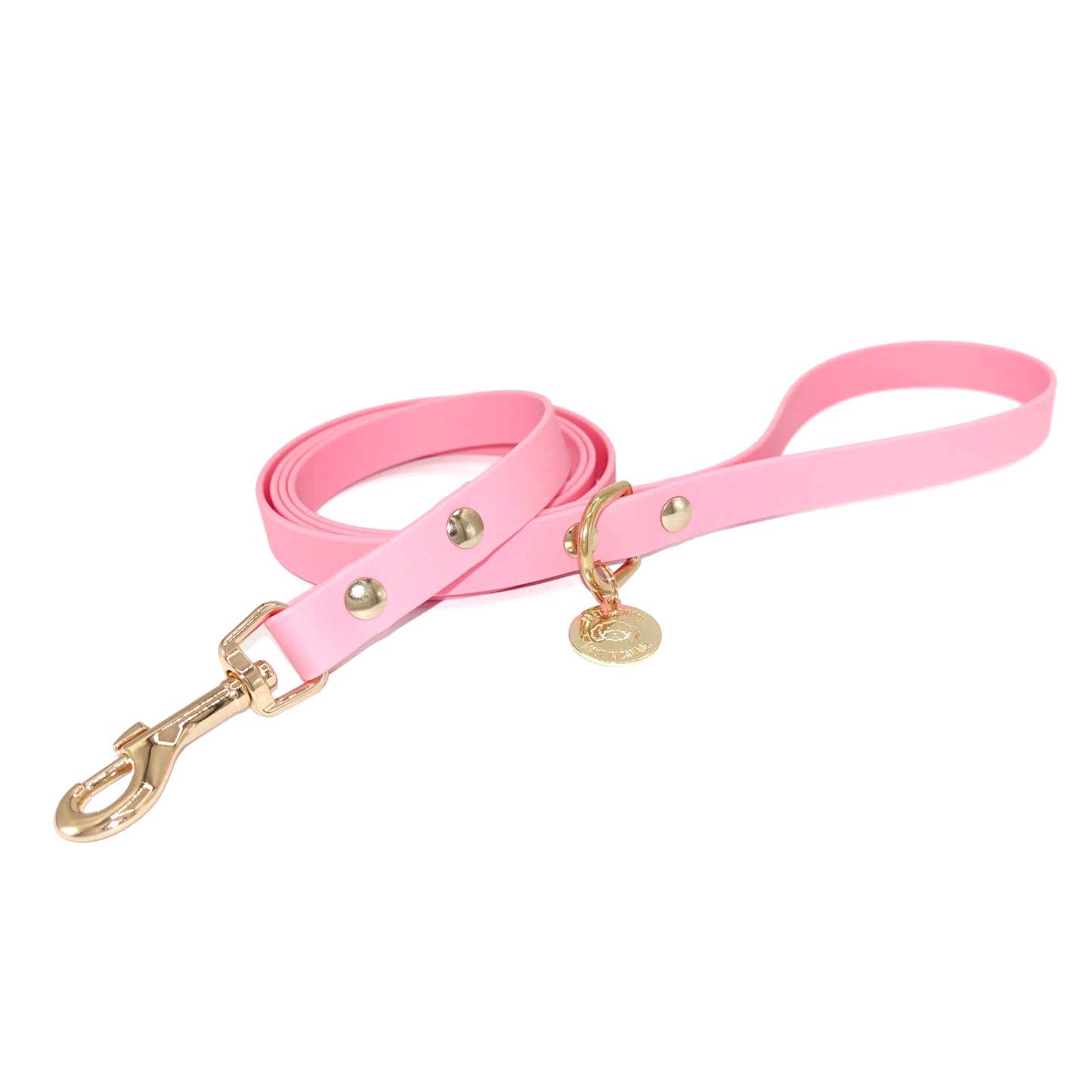 Pink dog leash with gold hardware on a white background