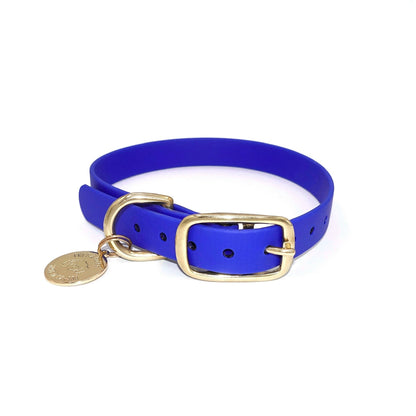 Blue dog collar with a gold buckle and tag on a white background