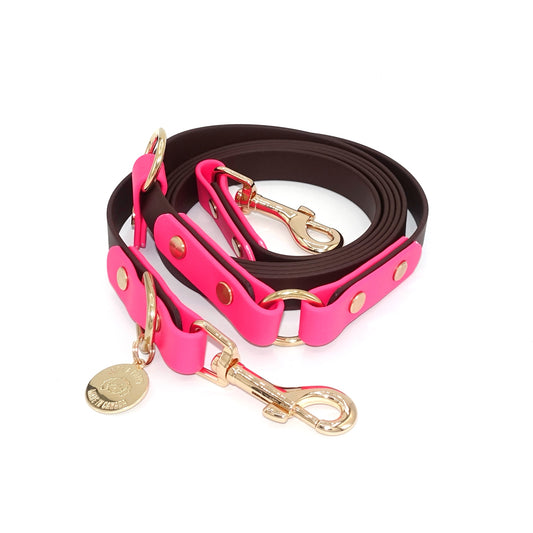 Dog leash in pink and dark brown, with gold hardware and a gold tag on a white background