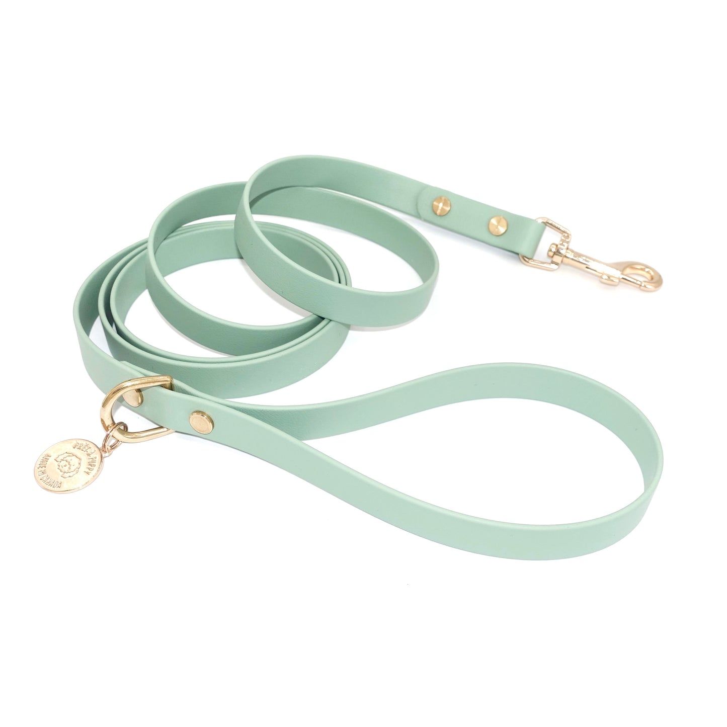 Sage green dog leash with gold hardware on a white background