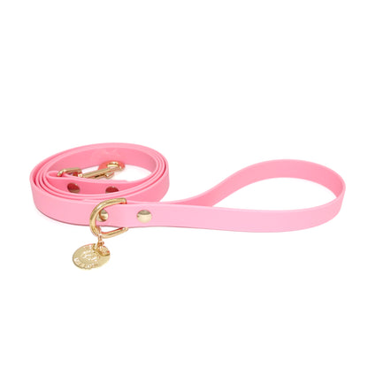 Pink dog leash with gold clasp and tag on a white background