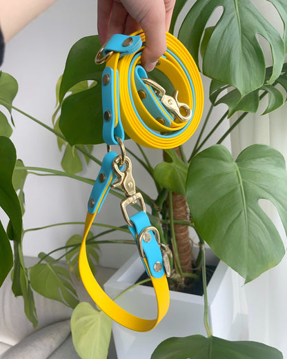 Hands-Free Leash - Design your Own