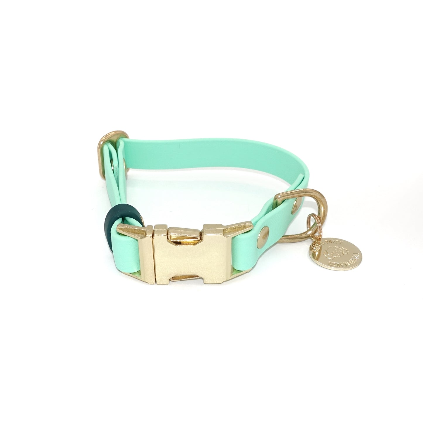 Mint green dog collar with gold buckle on a white background