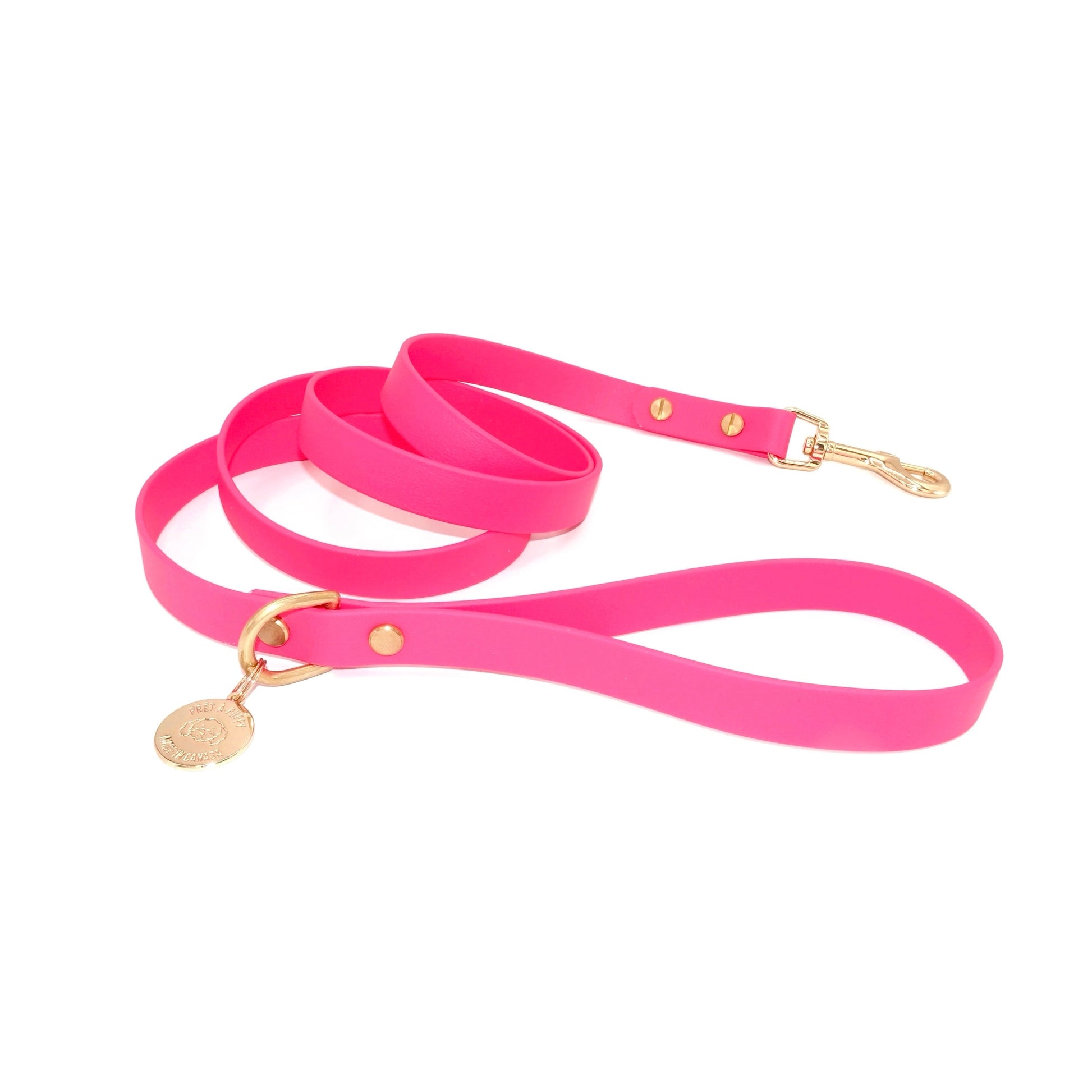 Pink dog leash with gold hardware on a white background