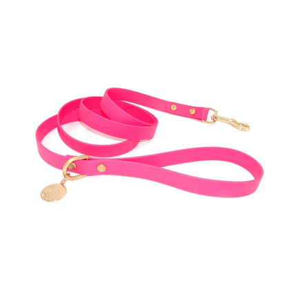 Pink dog leash with gold hardware on a white background