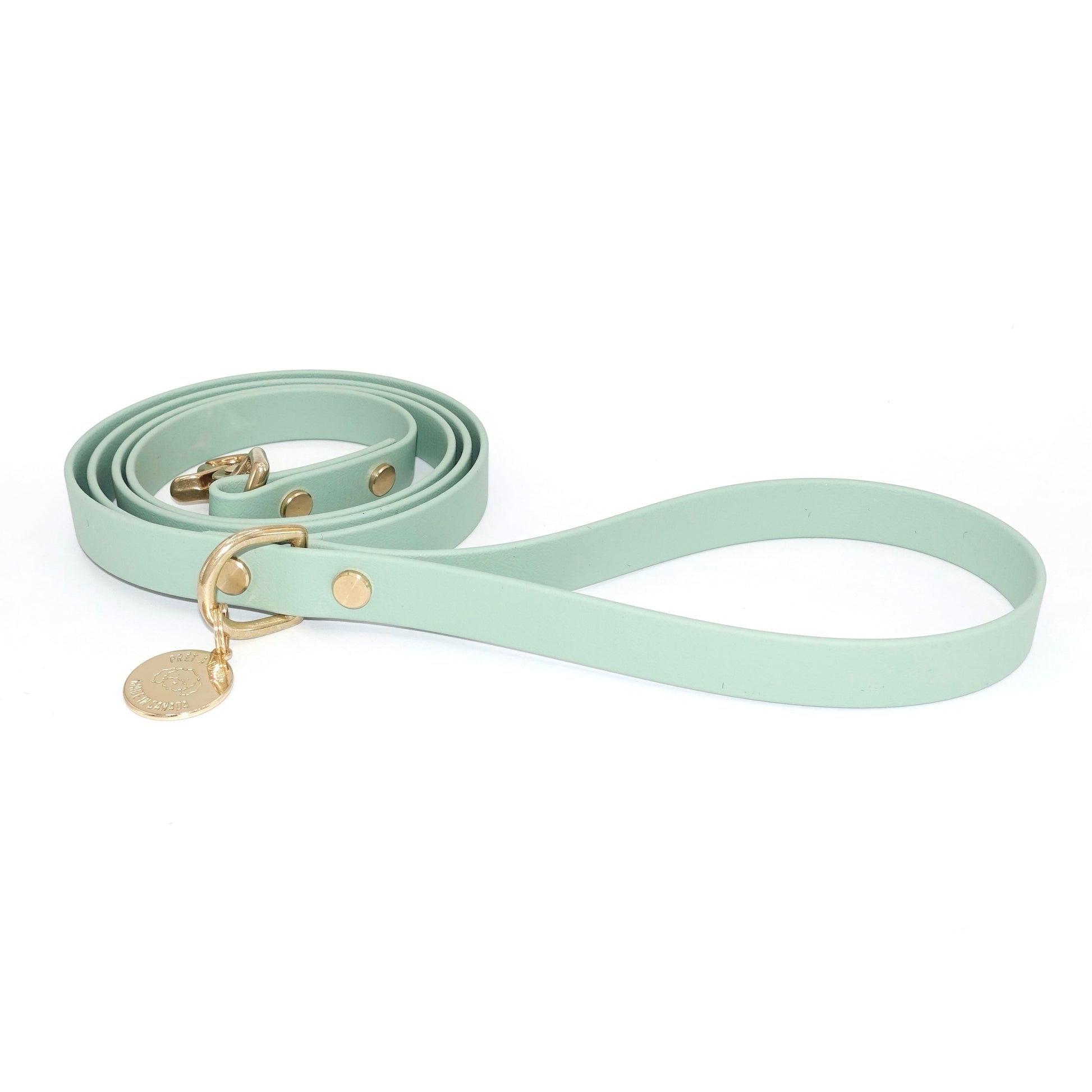 Sage green dog leash with gold hardware on a white background
