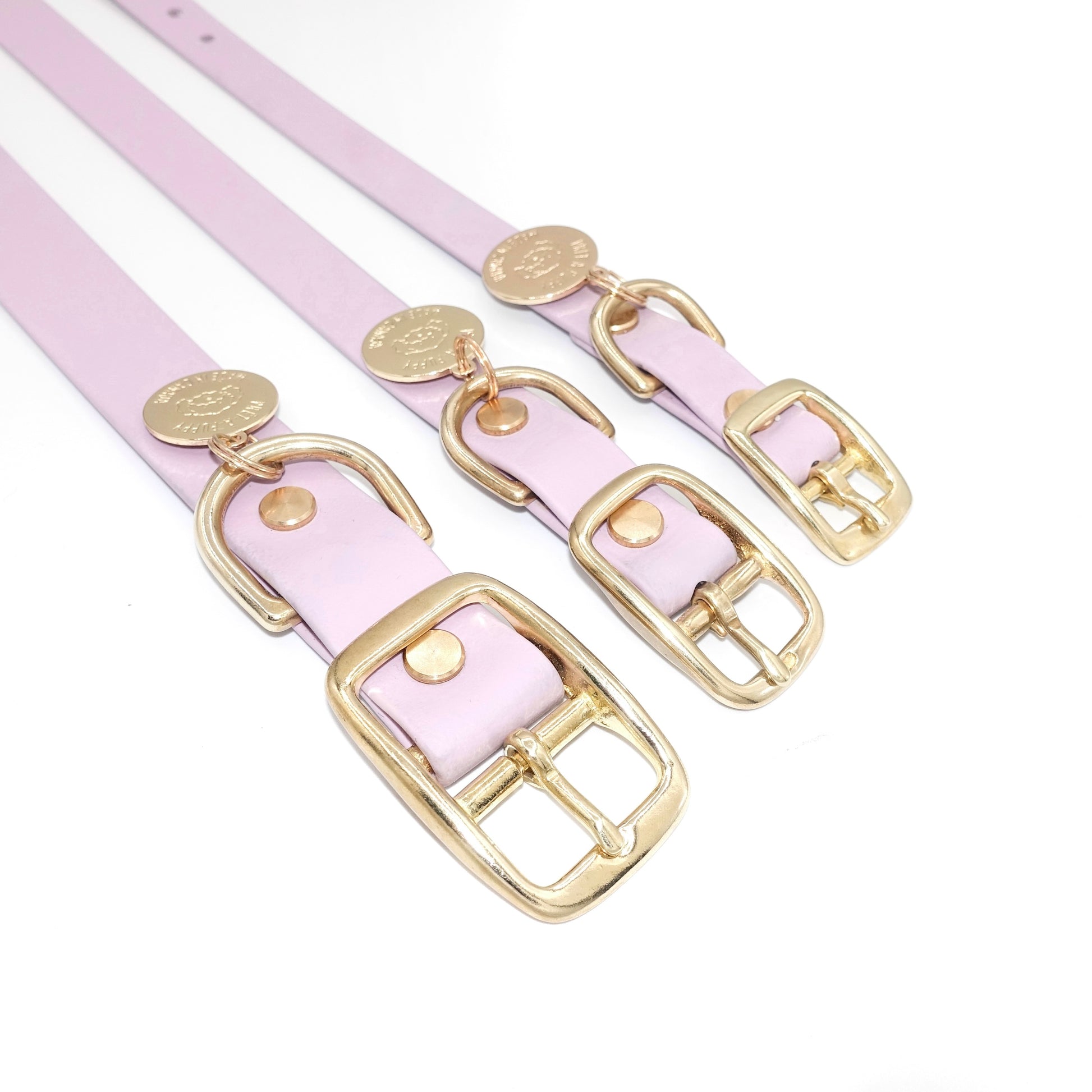 Lilac dog collars with gold buckles on a white background. Shown in various widths, 5/8", 3/4" and 1" 