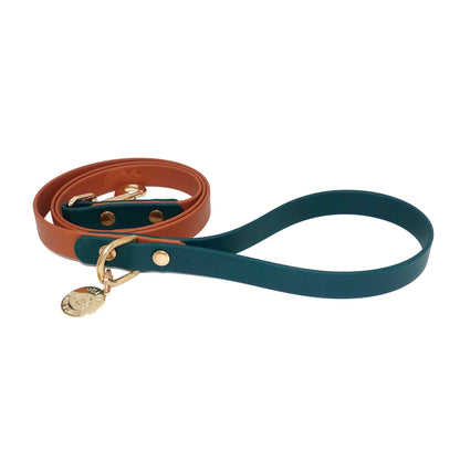Dog leash in brown and forest green with gold hardware on a white background