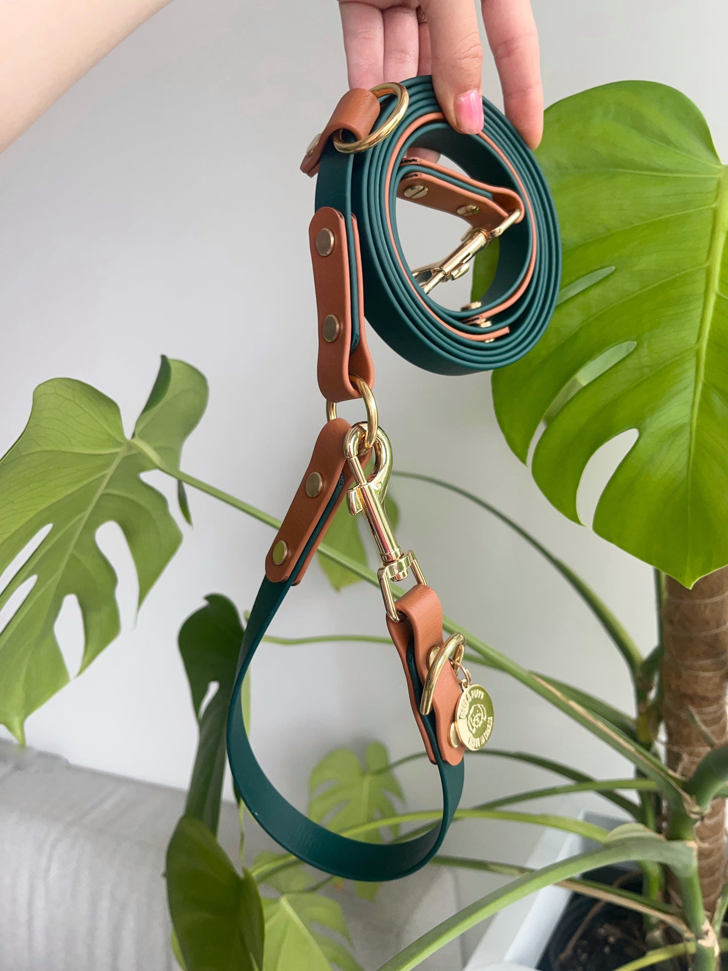 Hands-Free Leash - Design your Own
