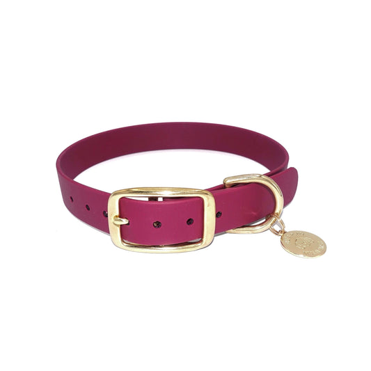 Burgundy dog collar with a gold buckle and tag on a white background
