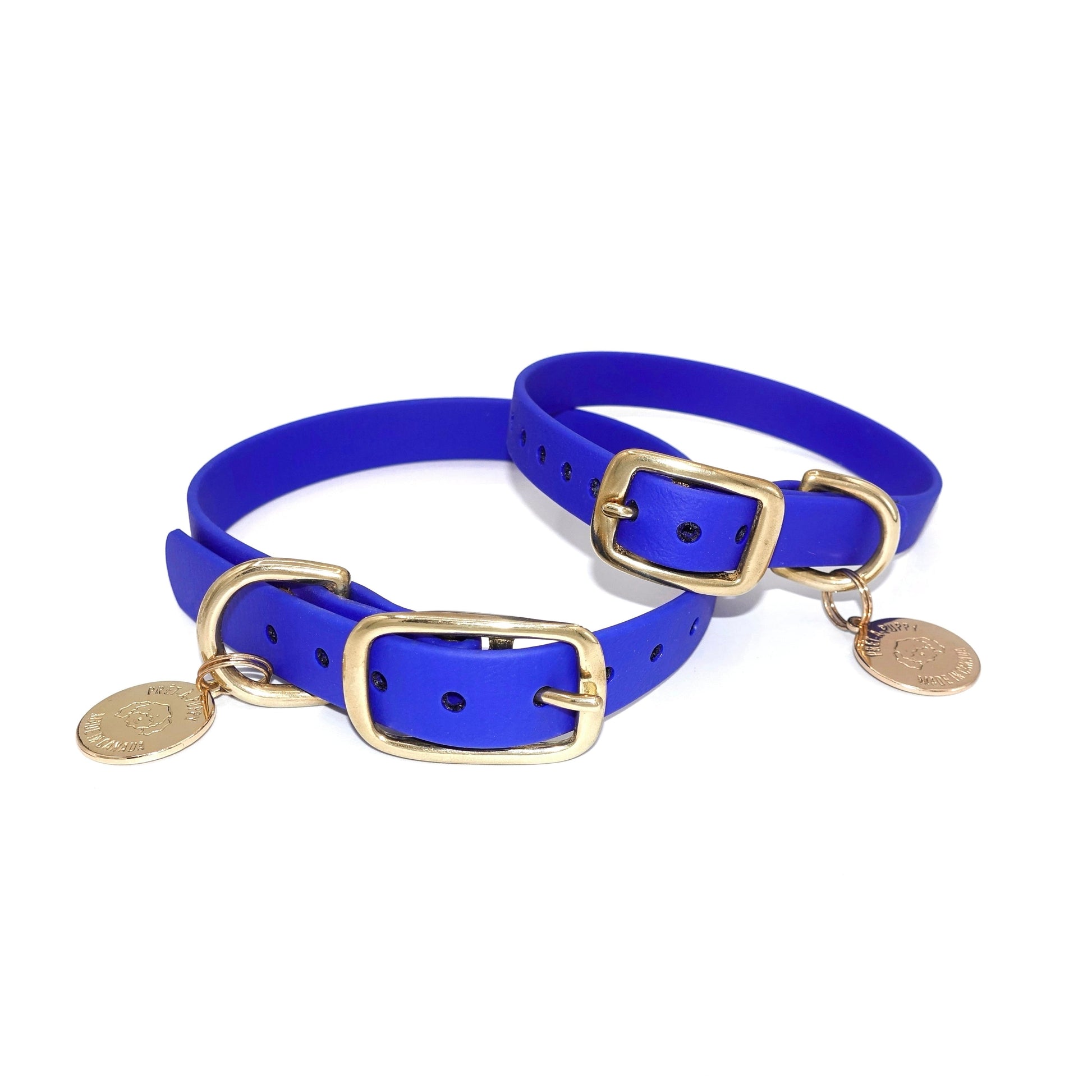 Two blue dog collars with gold buckles and tags on a white background