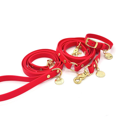 Red dog collar and leash set with gold hardware on a white background