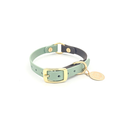 Original Collar - Design your Own