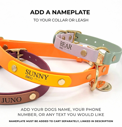 Colorful dog collars with nameplates on a white background. Text on image reads: Add a nameplate to your collar or leash. Add your dogs name, your phone number, or any text you'd like.