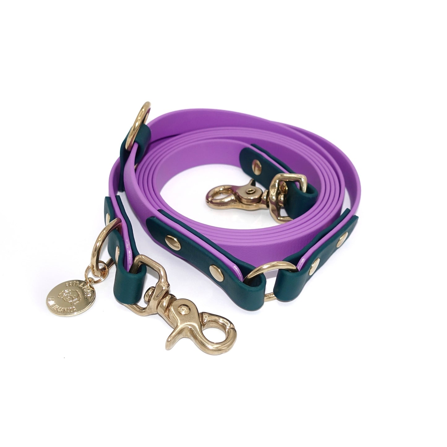 Purple and green dog leash with gold hardware on a white background