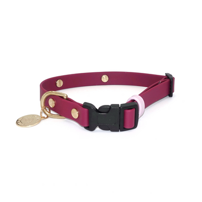 Adjustable Quick Release Collar