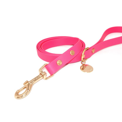 Raspberry Hot Pink Biothane dog leash with gold hardware, waterproof and durable, stylish for daily dog walks