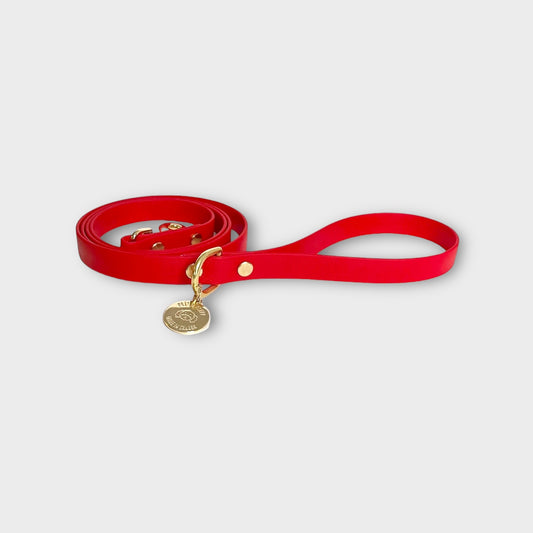 Red Original Dog leash with gold brass hardware