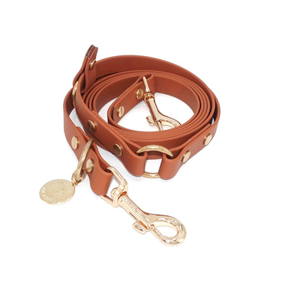Hands Free Leash