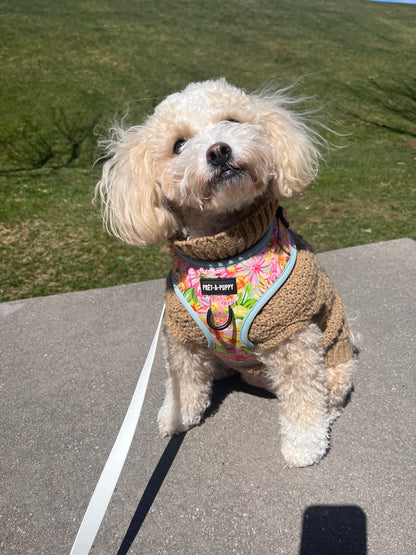 Adjustable Harness - Juno Beach