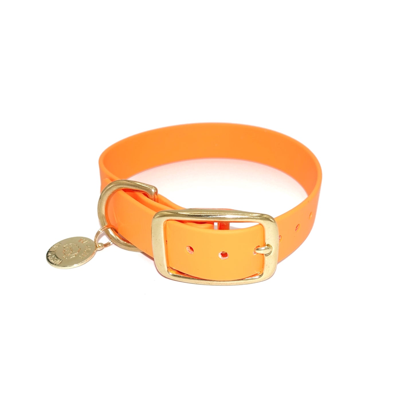 Orange dog collar with a gold buckle on a white background