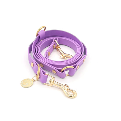 Purple Biothane hands-free dog leash with gold hardware, waterproof and versatile for waist or crossbody wear