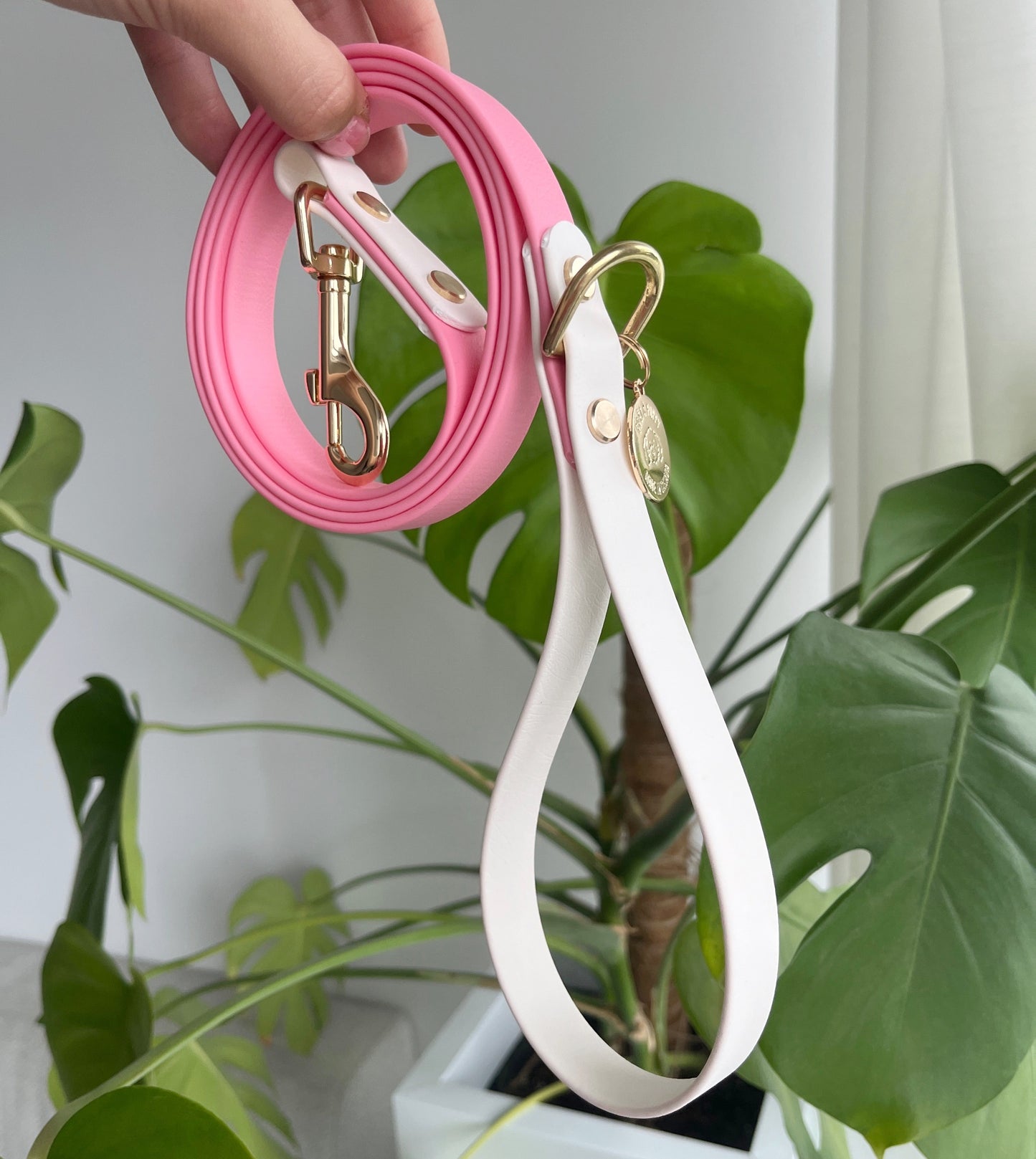 Original Leash - Design your Own